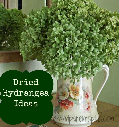 27 Best Dried Hydrangeas ideas