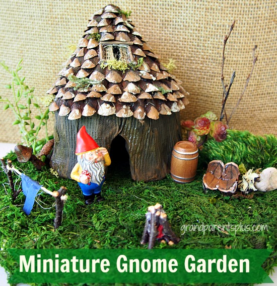 http://grandparentsplus.com/wp-content/uploads/2015/07/Miniature-gnome-garden-022a.jpg