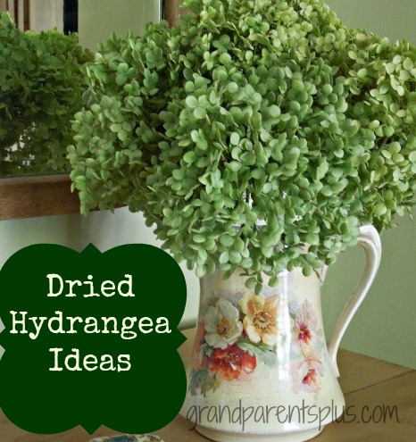 Dried Hydrangea Ideas