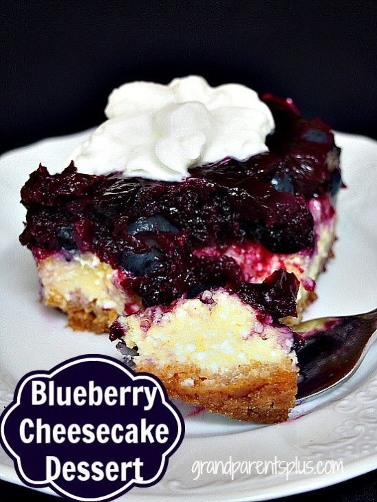 Blueberry Cheesecake Dessert - GrandparentsPlus.comGrandparentsPlus.com